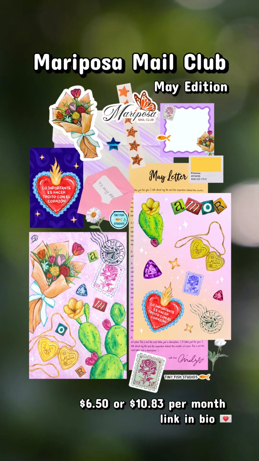 Mariposa Mail Club Subscription