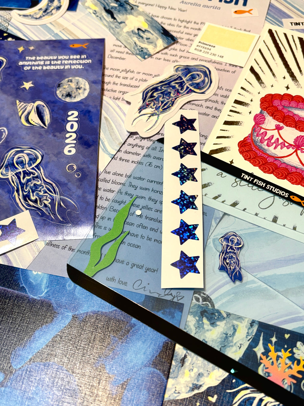 JANUARY ONLY - Bubble Post