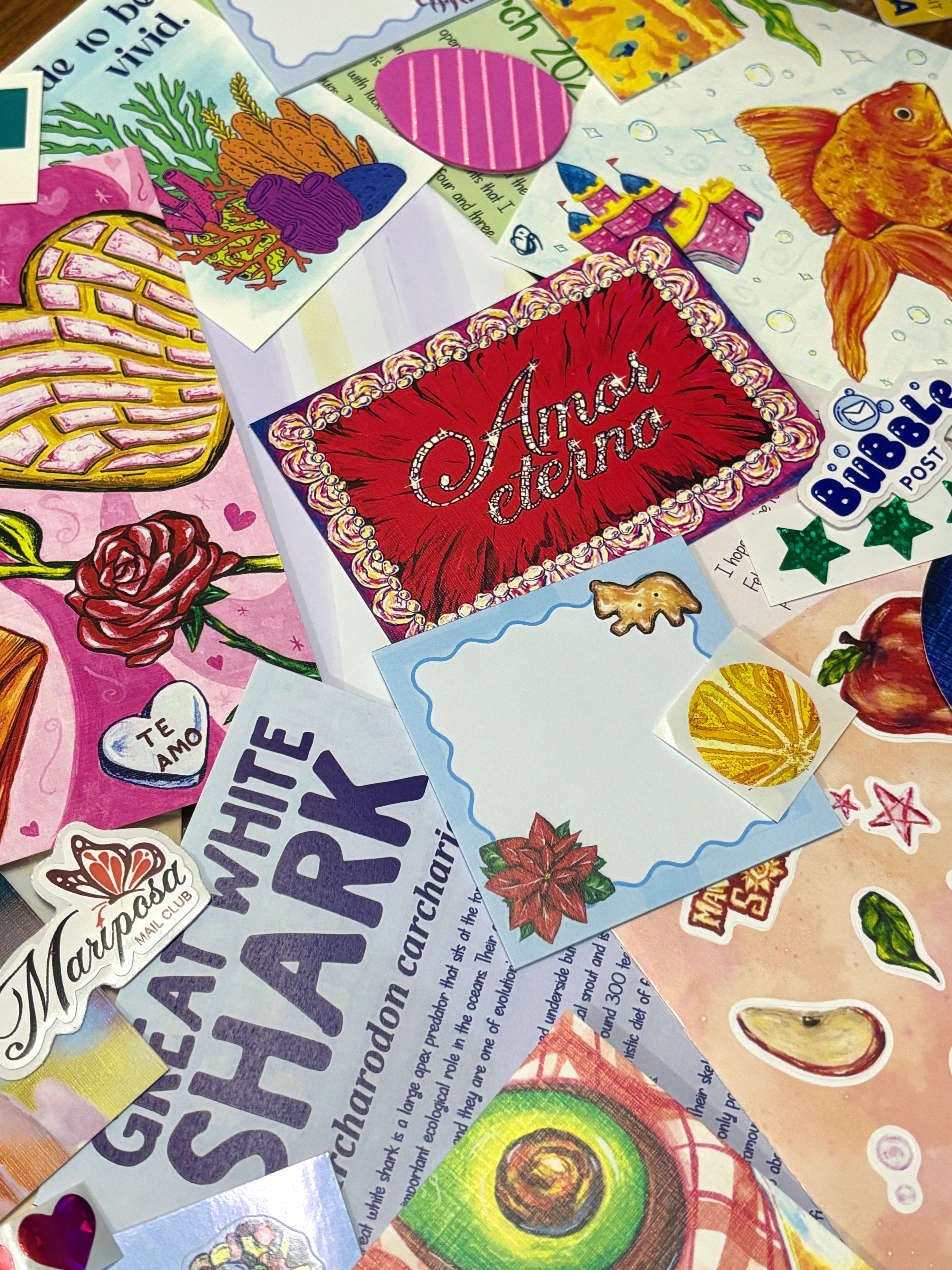 Junk Mail Club Envelope 🌟