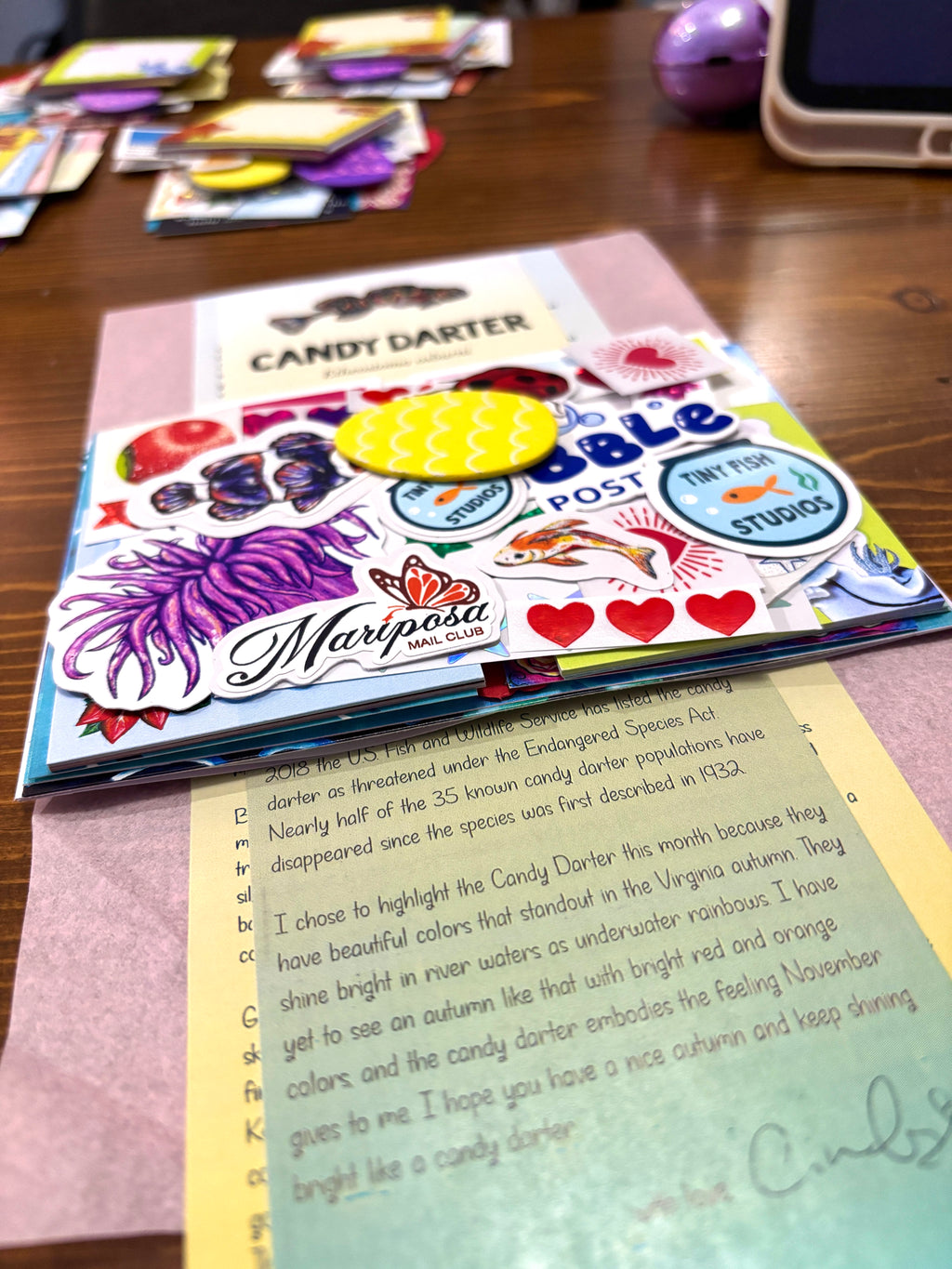 Junk Mail Club Envelope 🌟