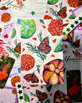 NOVEMBER ONLY - Mariposa Mail Club