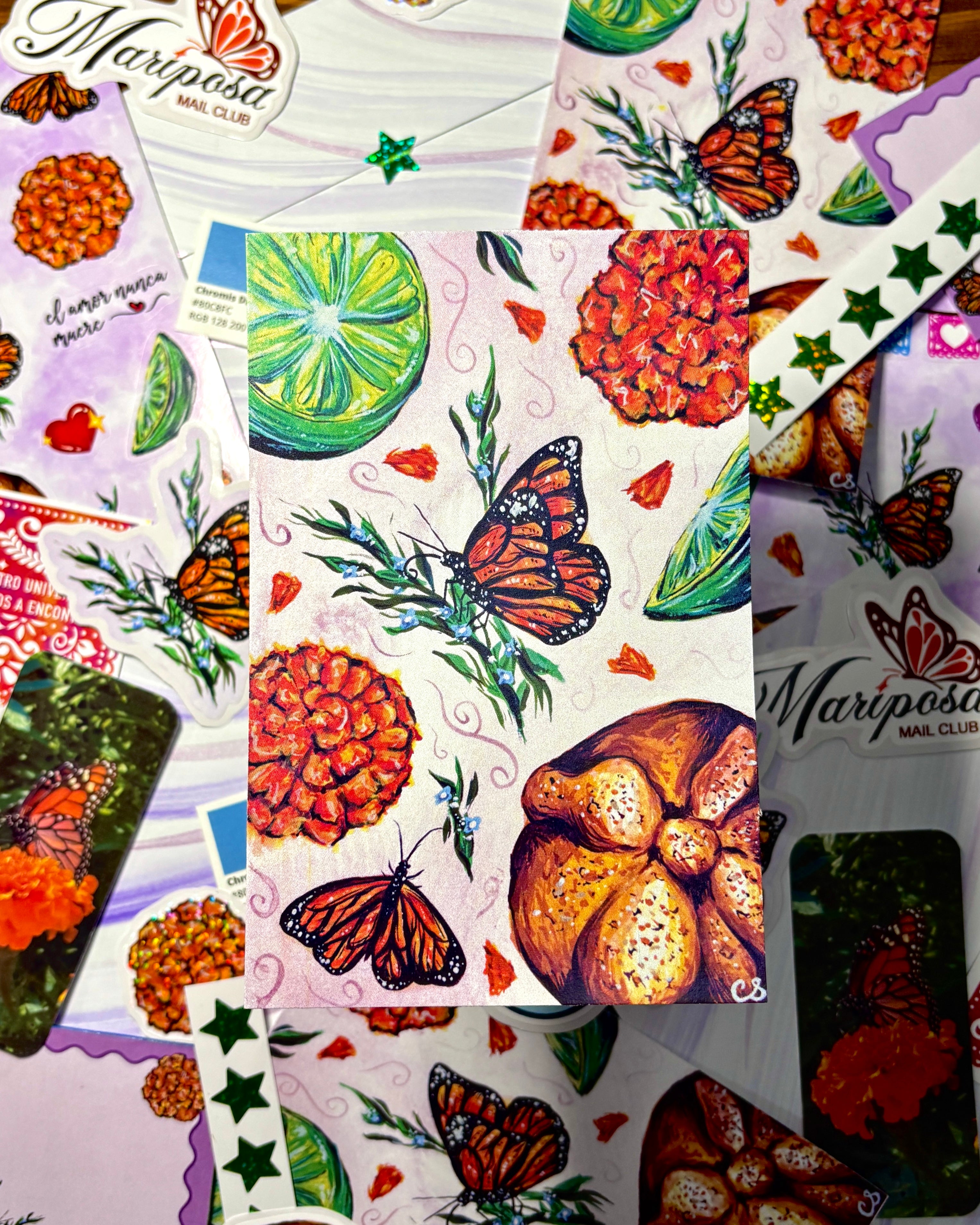 Mariposa Mail Club Subscription