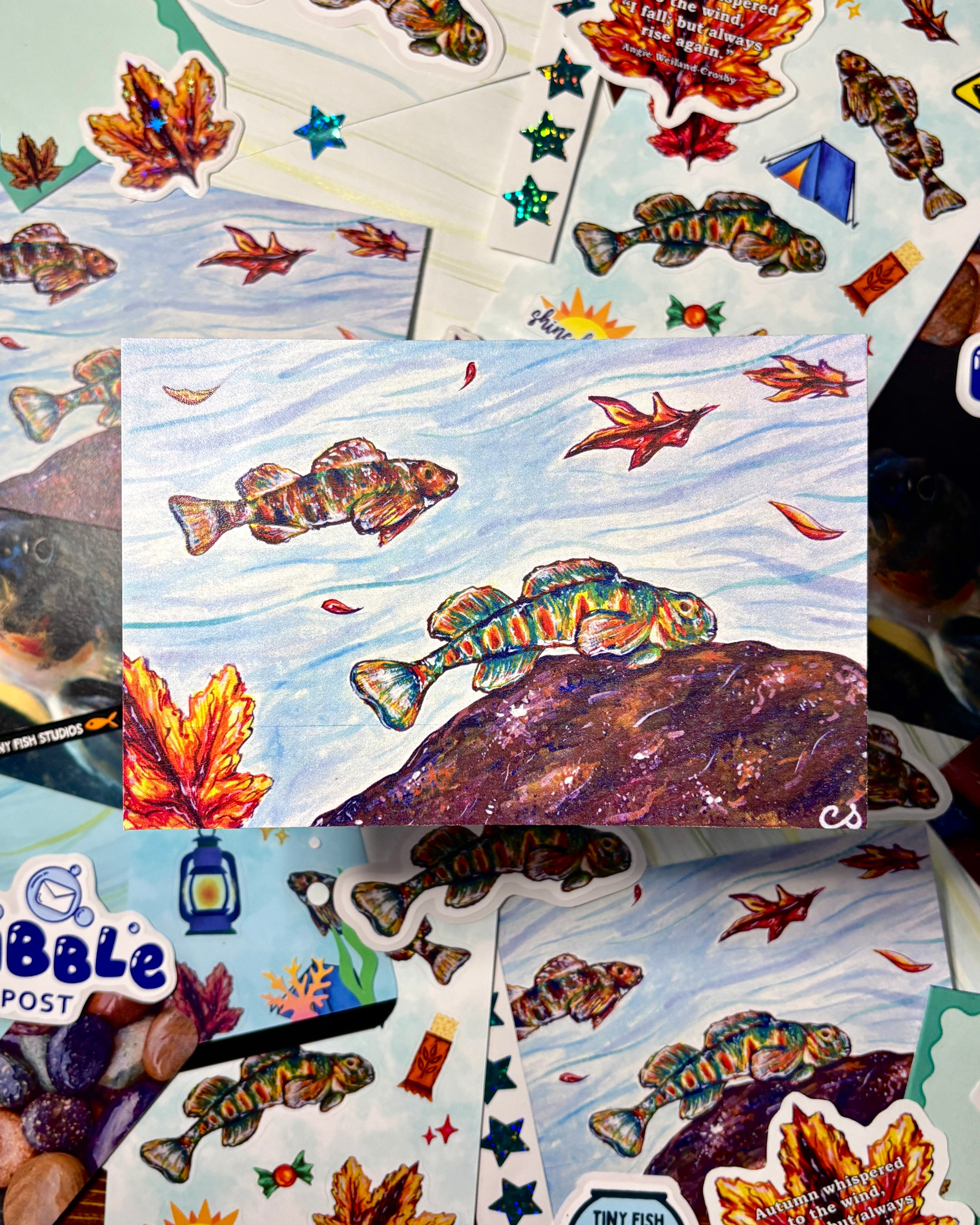 Bubble Post Subscription