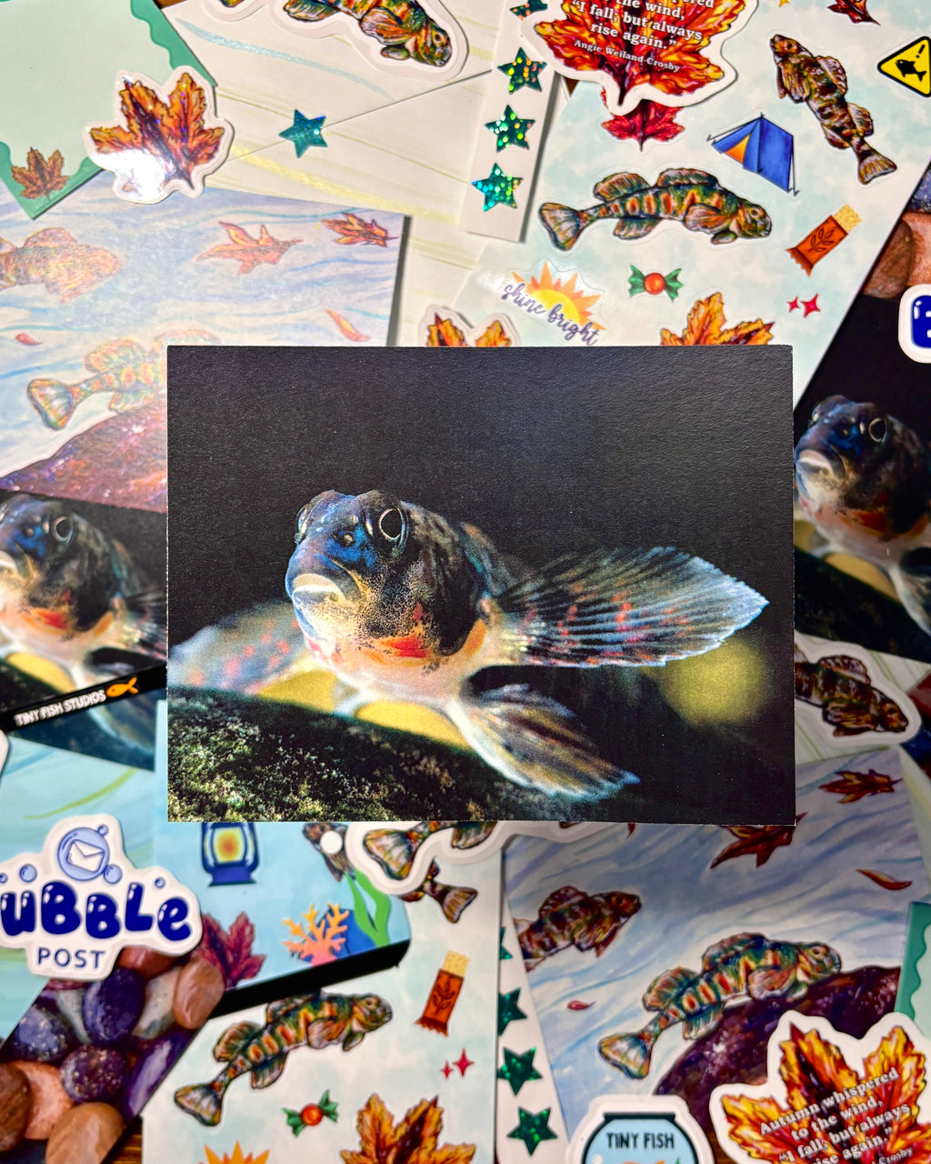 NOVEMBER ONLY - Bubble Post