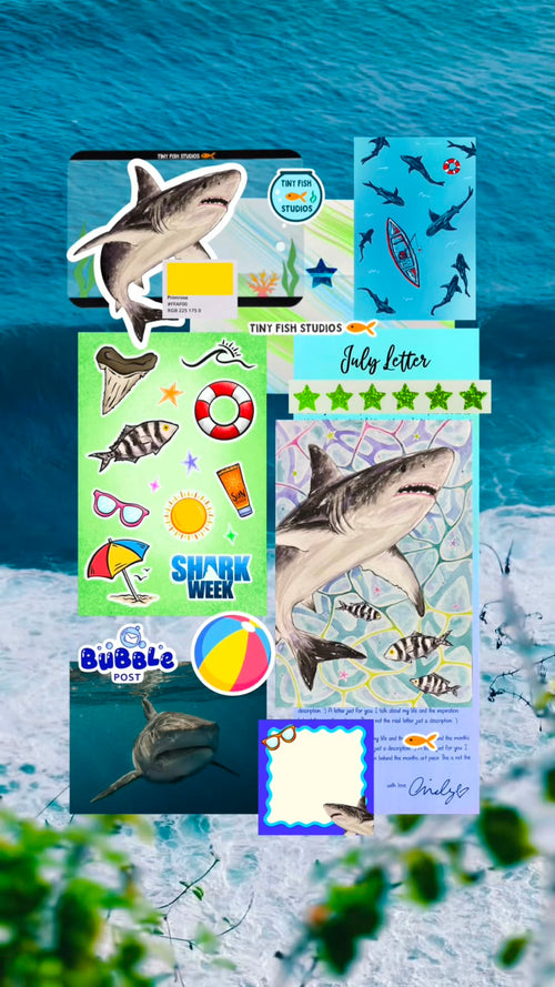 Bubble Post Subscription